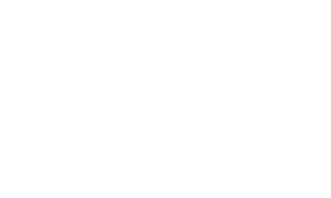 Consequence Kundenlogo Acer