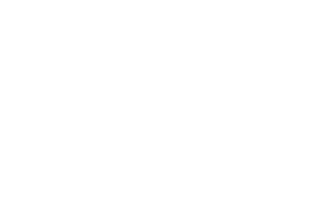 Consequence Kundenlogo Micrologica