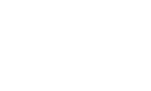 Consequence Kundenlogo Technics